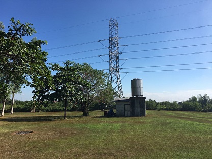 Agriculture in Tapulao, Orani, Bataan for Sale